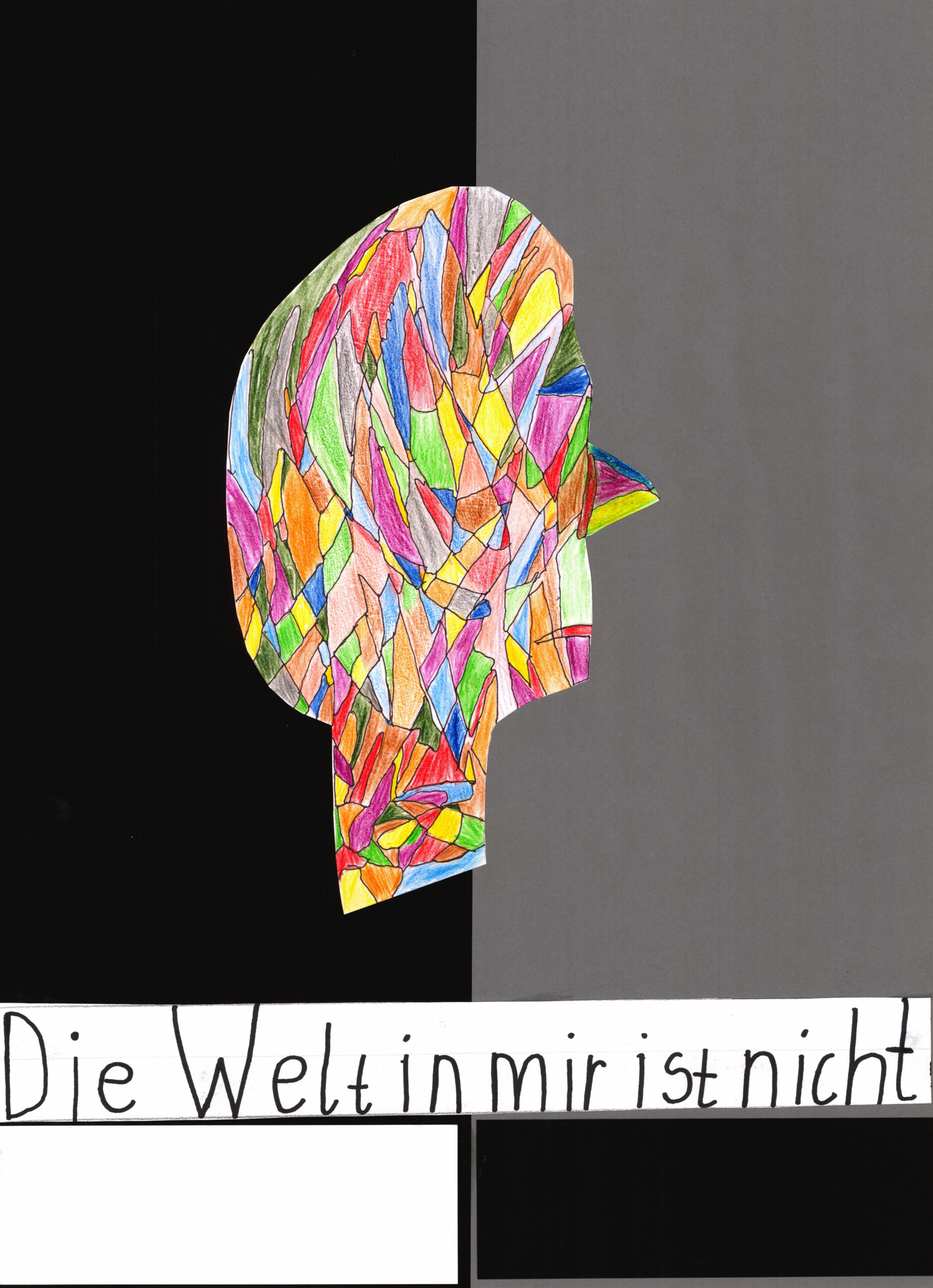 Kadusic Anes Bunter Kopf SW Grau SBBZ